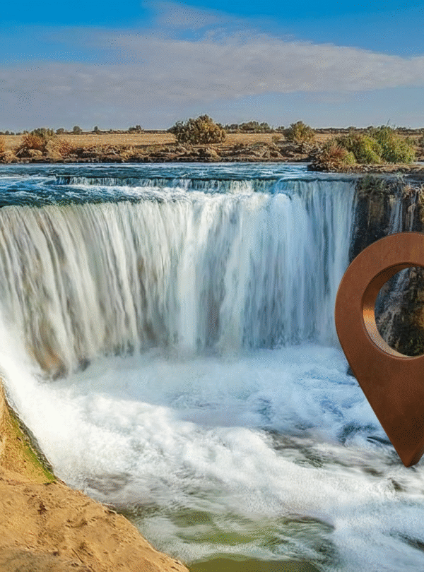 Gemini_Generated_Image_28vqoe28vqoe28vq